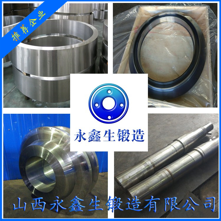 专业锻造1.2601锻件