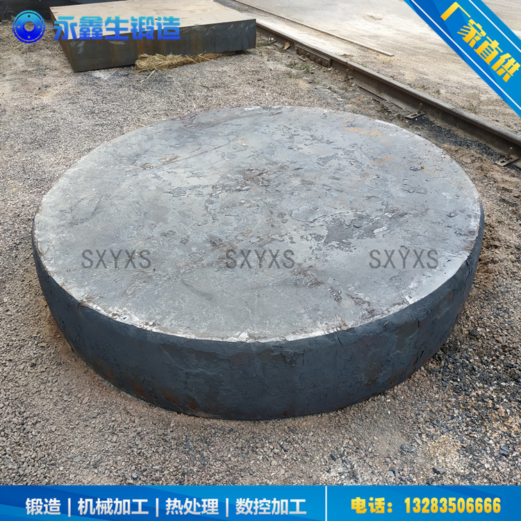 S30408反应釜管板锻件